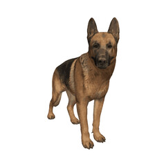 German Shepard dog vector animal ilustration isolated template 