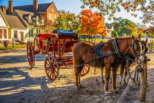 Colonial Carriage under the Autumn Leaves