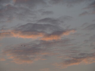 Sunset Sky with Birds A Calm Evening Nature Landscape