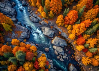Aerial View of a River-Shaped Abstract Pattern in Autumn Forest with Dark Grey Rocks - Minimalist Landscape Photography