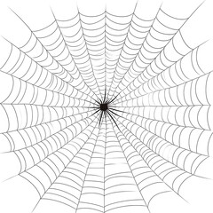 A cartoon spider web on a white background.