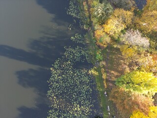 Autumn Landscape with Calm Water Surface and Foliage on Riverbank on a Quiet Day