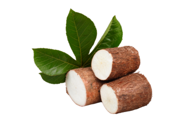 Cuts of cassava tubers and their leaves isolated transparent