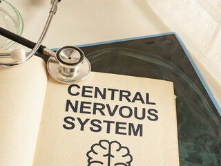 CNS Central nervous system as Human Nervous System