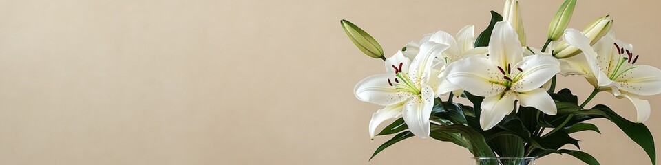 Elegant lily arrangement in a glass vase against a neutral background, capturing soft shadows and delicate lighting. This serene floral display emphasizes the beauty of white lilies, showcasing their 