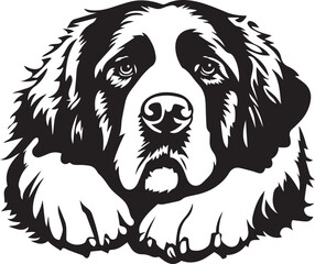 Obraz premium adorable illustration of a Saint Bernard dog