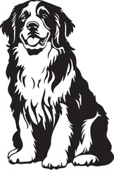 sitting Saint Bernard dog