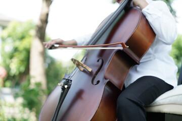 Fototapeta premium A fourteen-year-old musician apprentice learning to play cello performs classical music in a garden.