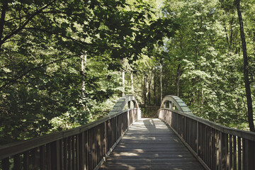 Holzbrücke - Brandenburg - Deutschland - Werbellinsee - Barnim - Biosphärenreservat - Schorfheide - Werbellinkanal - Natur - Landschaft - Background - Grün	