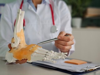 Orthopedic doctor looks at skeleton of ankle of foot concept
