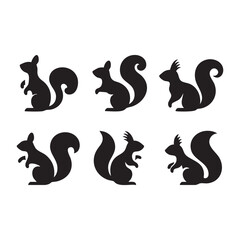 Set of squirrel silhouette on white background
