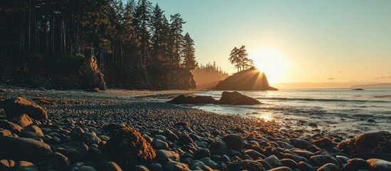 Sunrise On A Rocky Beach With Trees