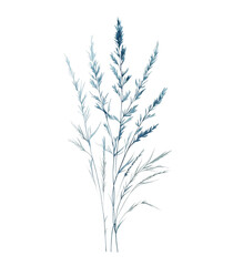 Isolated Wheat Stalks on White Background, Perfect for Agriculture and Design Projects