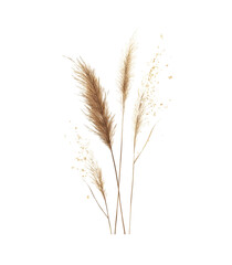 Golden wheat ears sway in the summer breeze, promising a bountiful harvest