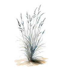 Grass isolated against a pristine white backdrop