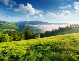 Obraz premium Amazing landscape of rural terrain with green pasture, lonely tree and dramatic sky.