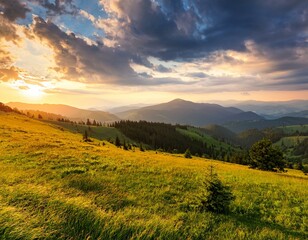 Obraz premium Amazing landscape of rural terrain with green pasture, lonely tree and dramatic sky.