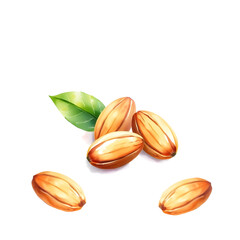 Almonds, watercolor illustration on white background. Generative AI