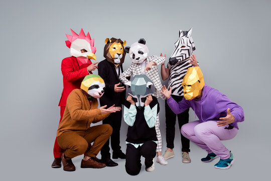 Full size photo of zebra gorilla lion panda sloth rooster mask people hate raccoon isolated on grey color background