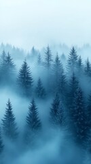 Obraz premium A thick fog blankets a lush coniferous forest, creating an ethereal and tranquil environment during the soft light of dawn