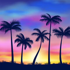 Palm trees silhouette