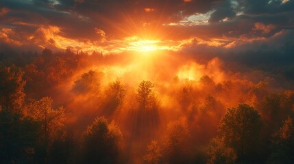 Fototapeta premium A breathtaking sunrise over a misty forest landscape.