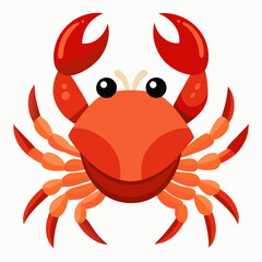 red crab isolated on white
