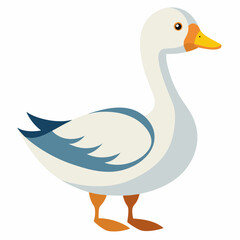 duck on white