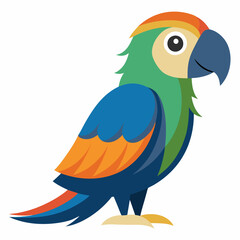 blue and yellow macaw