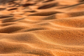 Sand of the Sahara desert