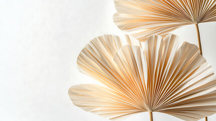 Minimalistic beige palm leaf wallpaper design