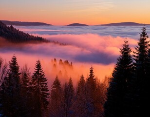 Fototapeta premium Evening landscape - silhouettes of fir trees on the background of bright sky and mountains