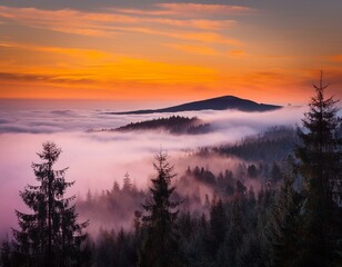 Obraz premium Evening landscape - silhouettes of fir trees on the background of bright sky and mountains