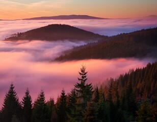 Fototapeta premium Evening landscape - silhouettes of fir trees on the background of bright sky and mountains