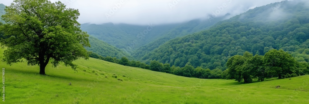 Poster a large tree stands in a grassy field with a mountain in the background. the scene is peaceful and s