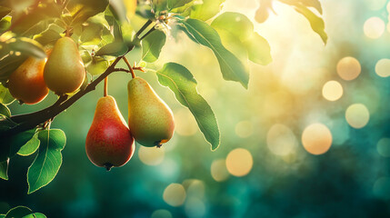 Vibrant fresh pears hanging on a tree branch, illuminated by warm sunlight with a soft, blurred natural background.