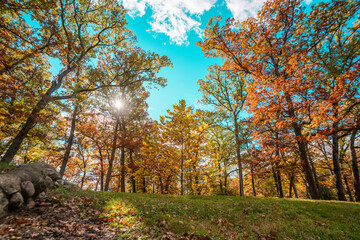 Autumn in Milham park, Kalamazoo, Michigan 
