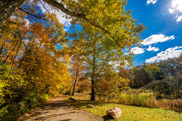 Autumn in Milham park, Kalamazoo, Michigan 