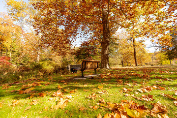 Autumn in Milham park, Kalamazoo, Michigan 