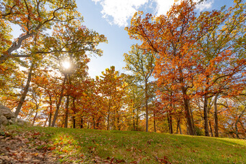 Fototapeta premium Autumn in Milham parkAutumn in Milham park, Kalamazoo, Michigan , Kalamazoo, Michigan 