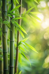 A row of bamboo plants with leaves in the foreground and background