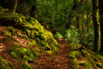Beautiful autumnal landscape in Lake District National Park. England, UK