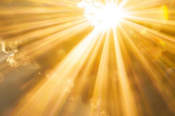 Obraz premium Sunlight filtering through green trees creates a warm inviting atmosphere. Nature concept