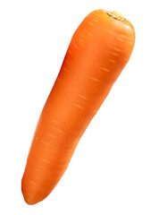 Top view of one fresh orange carrot isolated with clipping path in png file format