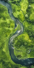 A green river with trees and grass on either side. The river is winding and he is a peaceful place