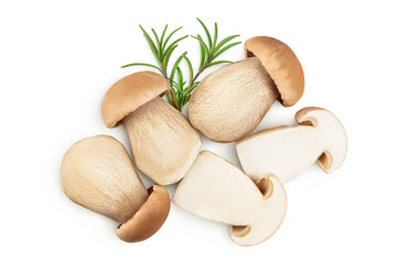 Fresh porcini cep mushroom isolated on white background. Top view. Flat lay