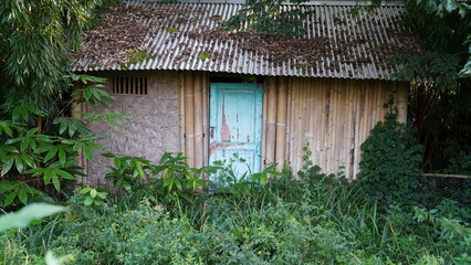 Solitary Refuge: An Abandoned Cabin Lost in the Forest