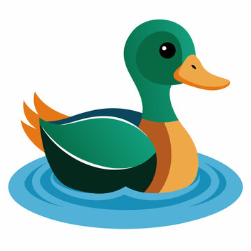 recommend clip art: Duck in water vector illustration on white background