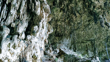 A rocky cliff with green plants growing on it