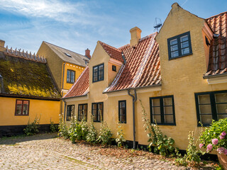 Yellow houses in old town of Dragor on Amager Island near Copenhagen, Zealand, Denmark